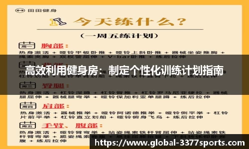 高效利用健身房：制定个性化训练计划指南