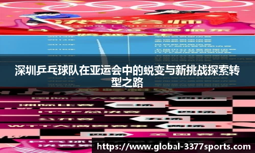 3377体育官网